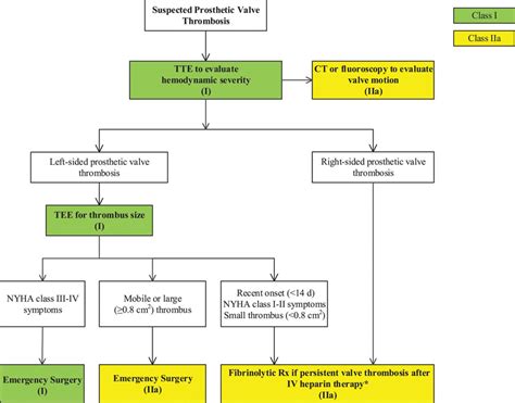 lv left ventricular mural thrombus|guidelines for lv thrombus anticoagulation.